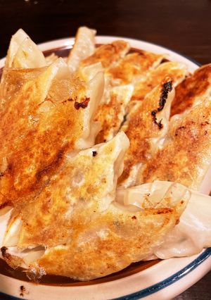 うちの餃子-レシピのメイン写真