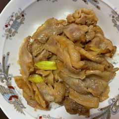 すた丼-レシピのメイン写真