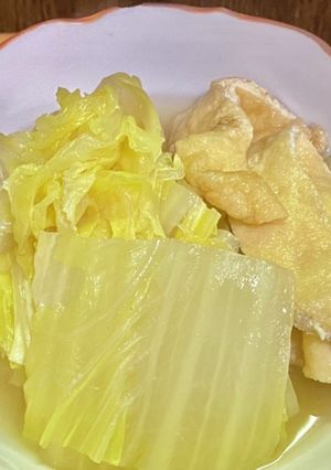 白菜と薄揚げの煮物-レシピのメイン写真