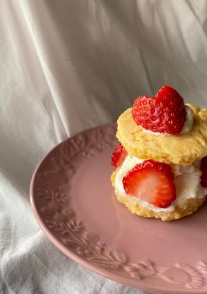 いちごのケーキ（犬用）-レシピのメイン写真
