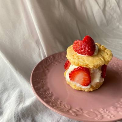 犬服 3S わんこの普段着　いちごケーキ 犬服 3S わんこの普段着 いちごケーキ 犬服 S わんこの普段着 野