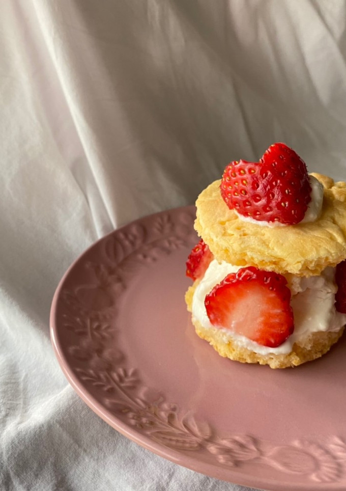 いちごのケーキ（犬用）-レシピのメイン写真