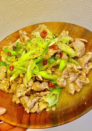 豚肉とネギのピリ辛炒め-レシピのメイン写真