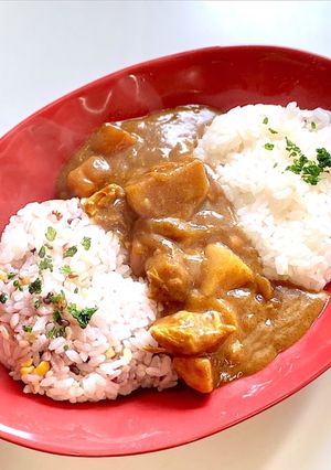 2種のご飯で食べ比べ!カレー-レシピのメイン写真