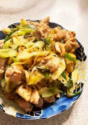 ☆鶏モモ肉とたっぷり長ネギの炒めもの-レシピのメイン写真