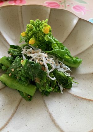 レンジで作れる旬の菜花と麹味噌の副菜-レシピのメイン写真