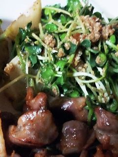 かいわれとすりごまのサラダ-レシピのメイン写真