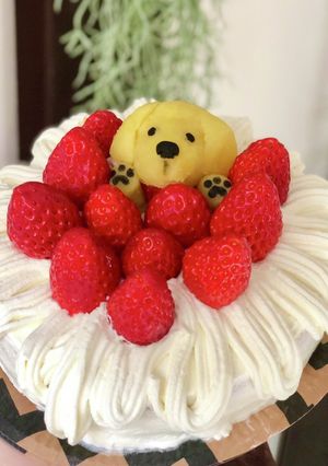 犬も人も食べておいしいデコケーキ♡GF！-レシピのメイン写真