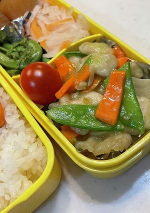 春の雰囲気弁当（中華風炒めとこごみ）-レシピのメイン写真