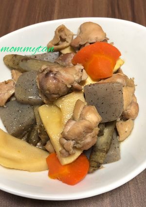 美味☆鶏肉とたけのことごぼうと人参の煮物-レシピのメイン写真
