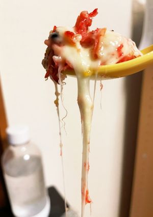桜エビチーズ丼-レシピのメイン写真