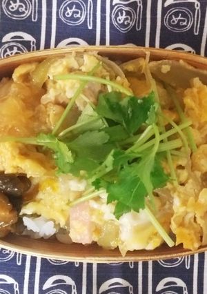 ☆わっぱ弁当生活344-レシピのメイン写真