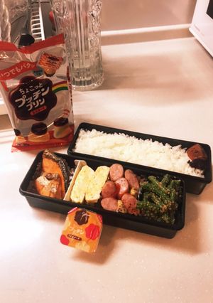 ちょっと嬉しい鮭弁当2-レシピのメイン写真
