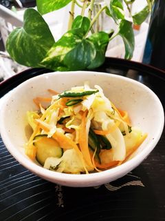 キャベツの浅漬け-レシピのメイン写真