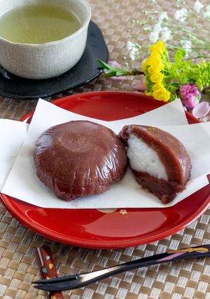 【嚥下食】おはぎ-レシピのメイン写真