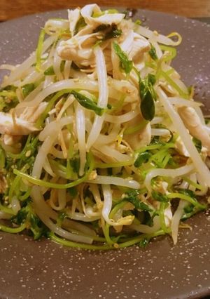 豆苗ともやしとささみのしっとりサラダ-レシピのメイン写真