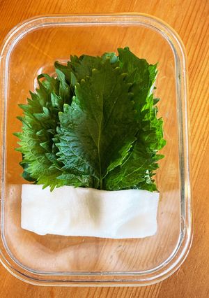 大葉の保存方法-レシピのメイン写真