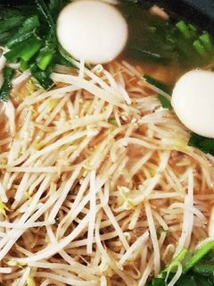 お鍋に《お餅♪》-レシピのメイン写真