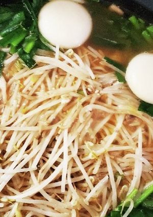 お鍋に《お餅♪》-レシピのメイン写真