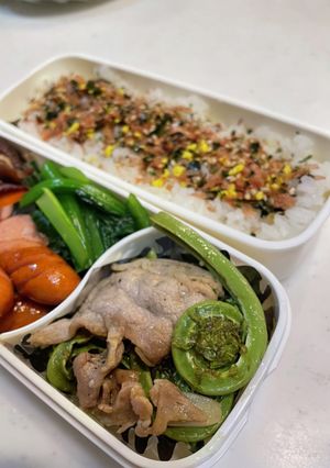 こごみと豚肉炒め弁当-レシピのメイン写真