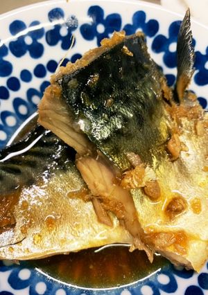 雅俊の鯖の生姜煮-レシピのメイン写真