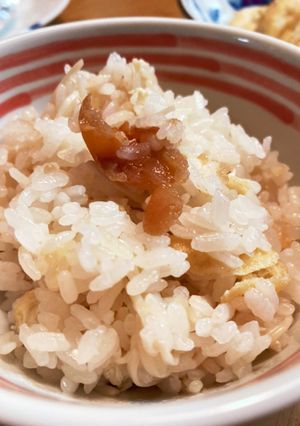 びっくりおいしい！白だしで梅干しご飯-レシピのメイン写真