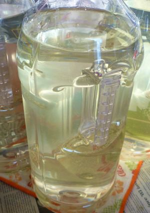 わかめのめかぶ酒の実飲版を作る-レシピのメイン写真