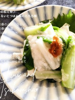 春の和え物♩うるいとつぼみ菜のとろろ梅-レシピのメイン写真