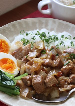 ルーローハン☆魯肉飯☆-レシピのメイン写真