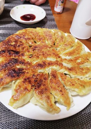 長ネギたっぷり餃子-レシピのメイン写真