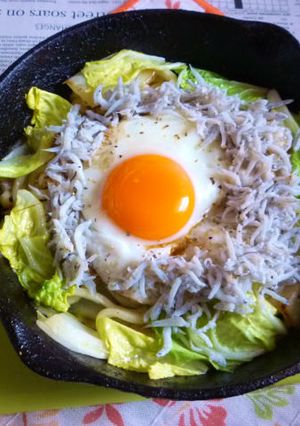 シラスたっぷり白菜焼きうどん目玉焼き載せ-レシピのメイン写真