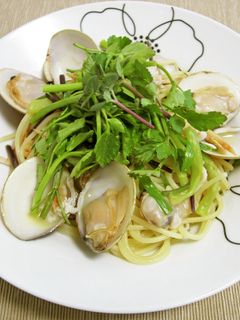 蛤と芹の和風スパゲッティ-レシピのメイン写真