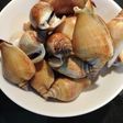 ゴンゴンの塩茹で 〜シンガポールより~
