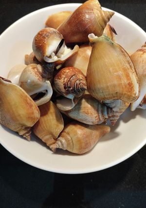 ゴンゴンの塩茹で　〜シンガポールより～-レシピのメイン写真