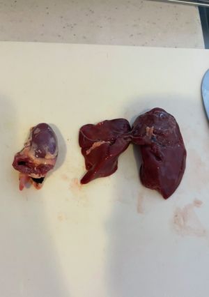 鶏レバー 下処理-レシピのメイン写真