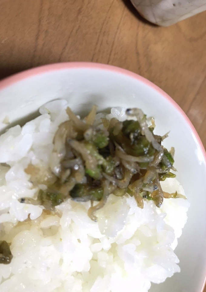 蕗のとうとしらすの炒り煮-レシピのメイン写真