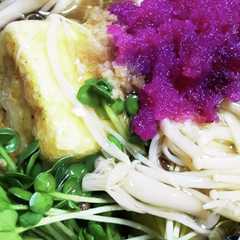 具だくさん揚げ出し豆腐-レシピのメイン写真
