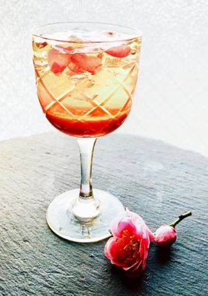 梅肉と梅の花びらのゼリー♪-レシピのメイン写真
