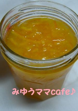 ポンカンマーマレード☆-レシピのメイン写真
