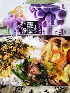 野菜炒め弁当(3.14)-レシピのメイン写真