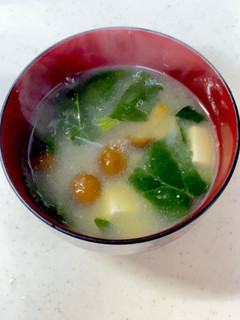 なめこ 豆腐 ほうれん草の味噌汁^^-レシピのメイン写真
