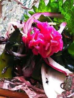 ワカメと芝玉葱の酢の物-レシピのメイン写真