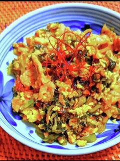 豚肉と豆富の高菜炒め-レシピのメイン写真