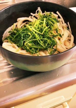 豆苗たっぷりうどん-レシピのメイン写真