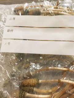 つくしは冷凍するだけ-レシピのメイン写真