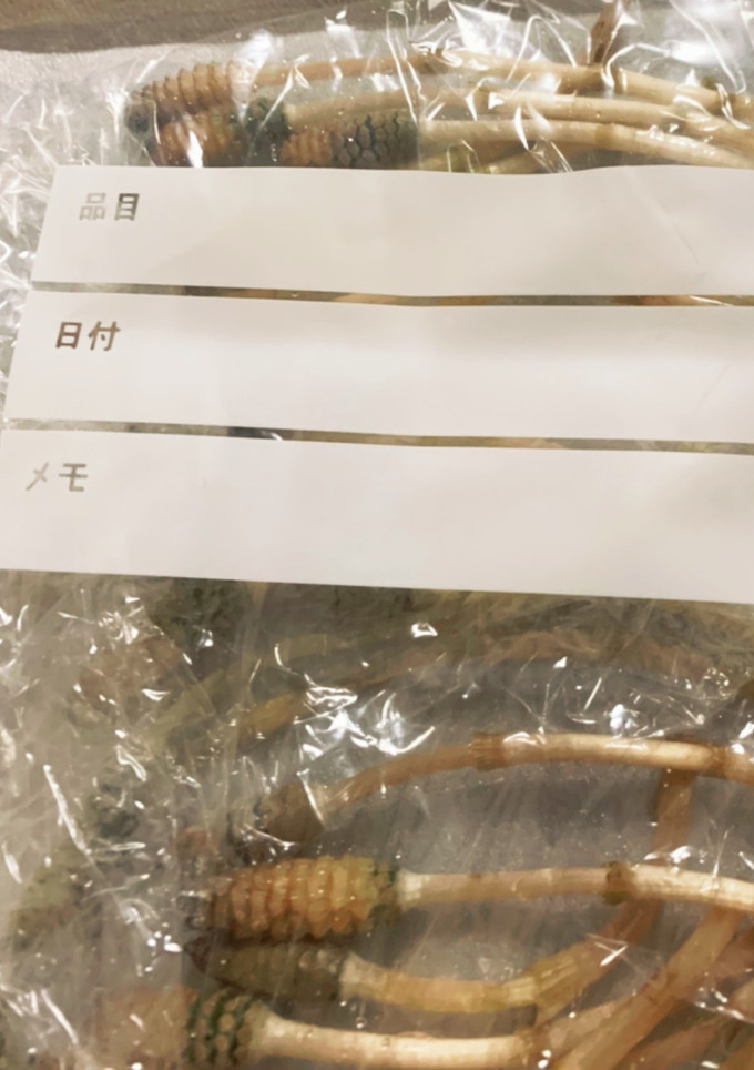 つくしは冷凍するだけ-レシピのメイン写真