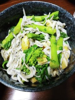菜の花の煮浸しにシラス和え-レシピのメイン写真