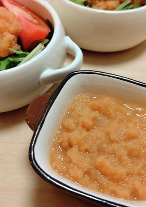 林檎とにんじんで作る蜂蜜ドレッシング-レシピのメイン写真