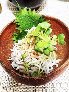 あと一品 シラス大根-レシピのメイン写真