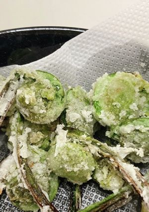 春山菜♡青こごみの天ぷら-レシピのメイン写真